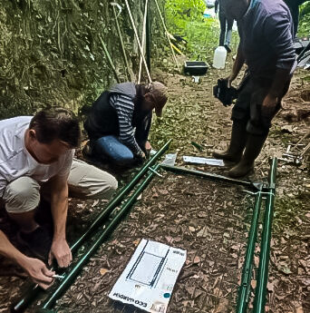 Installation d'un refuge dédié aux chauves souris