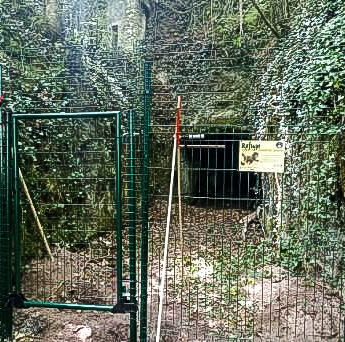 Installation d'un refuge dédié aux chauves souris